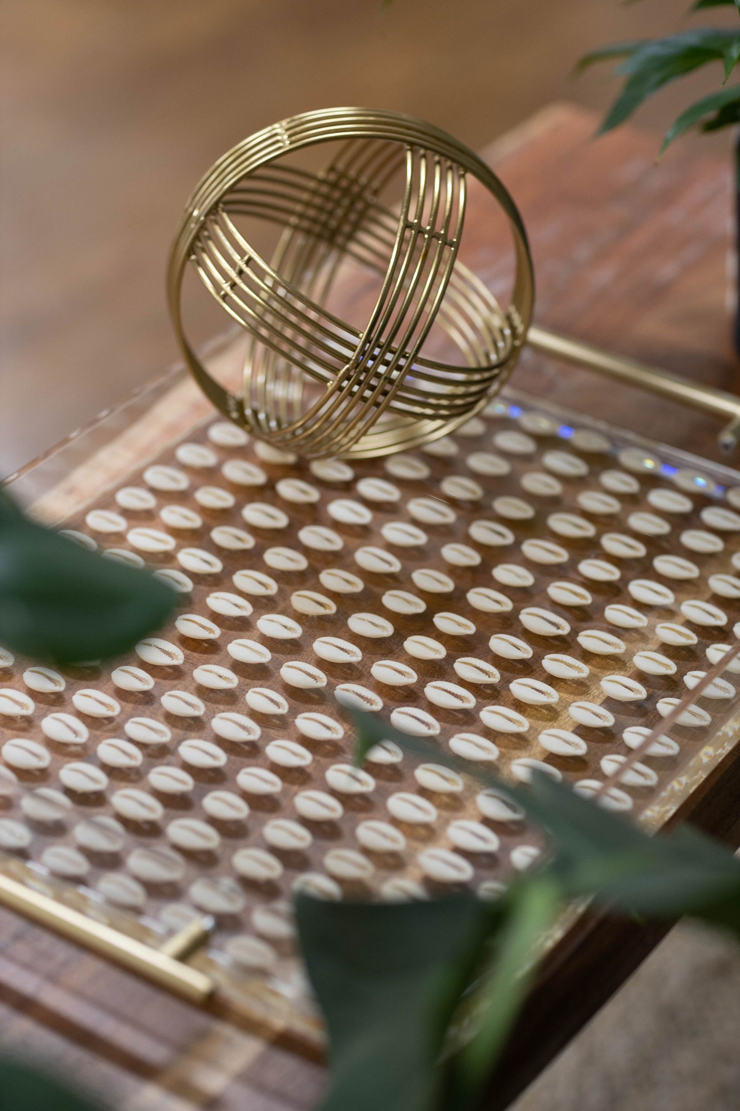 Clear Cowrie Shell Tray