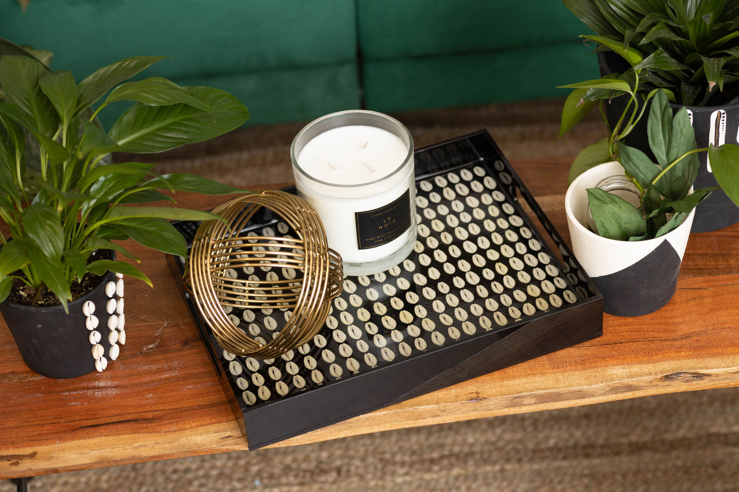 Black Cowrie Shell Tray