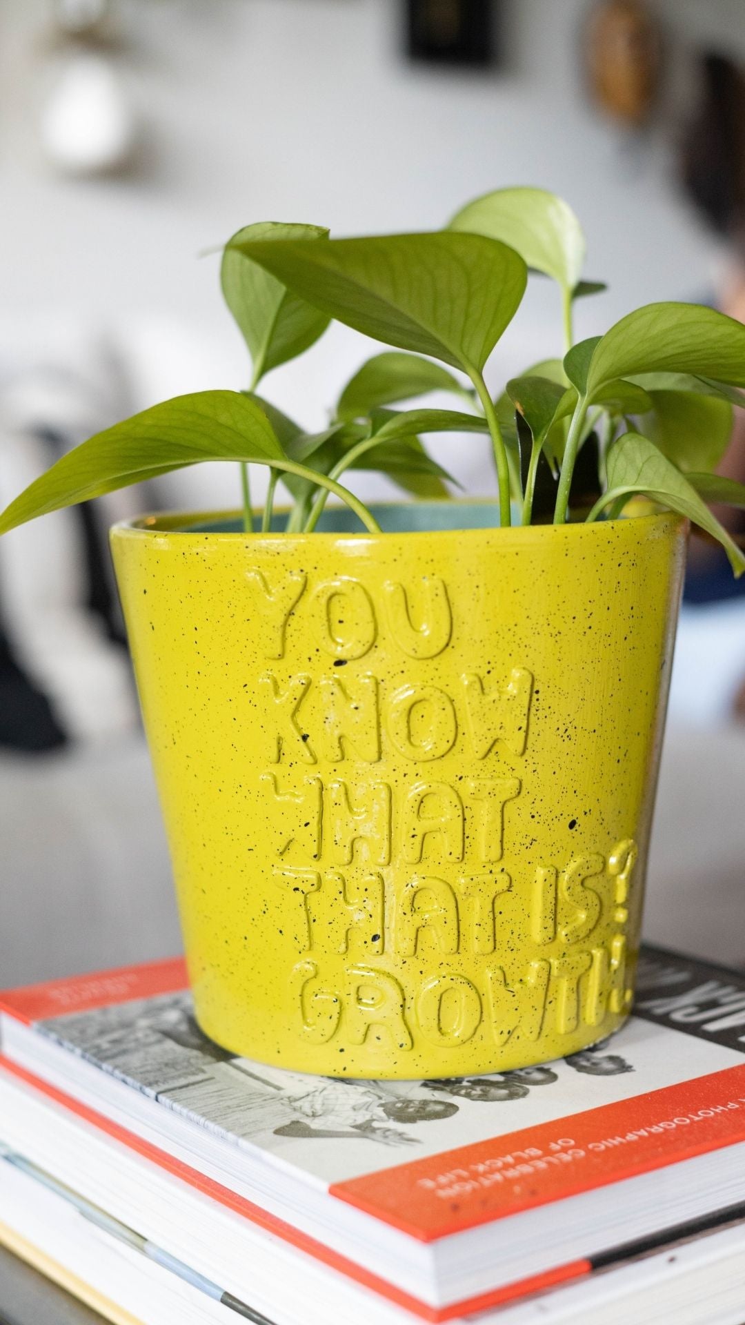 You know what that is? Growth. - Planter